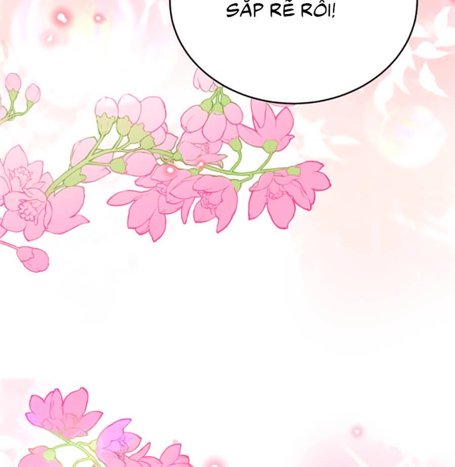 Hotboy Quốc Dân Là Nữ Chapter 185 - 32