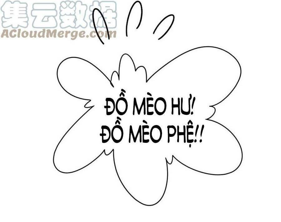 Hotboy Quốc Dân Là Nữ Chapter 298 - 27