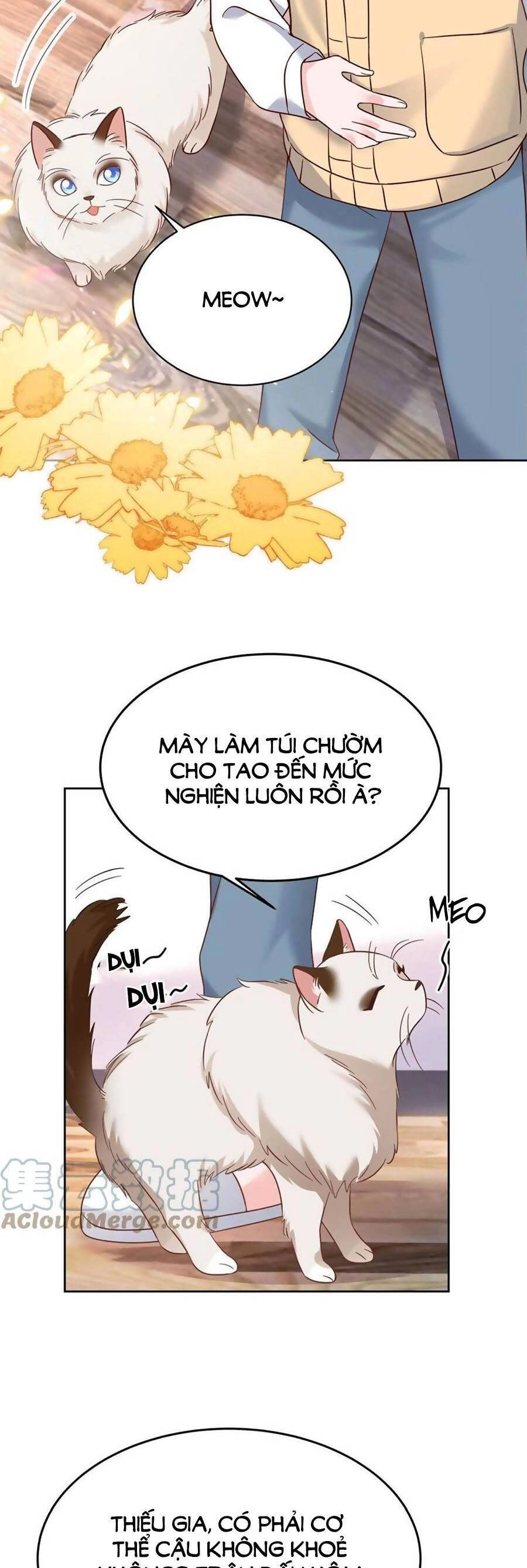 Hotboy Quốc Dân Là Nữ Chapter 310 - 3