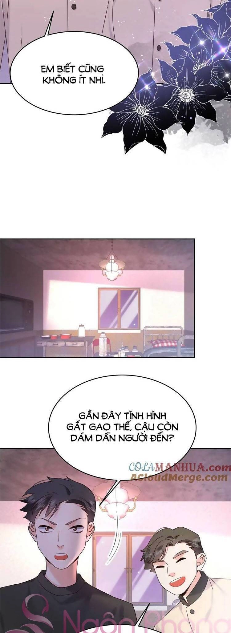 Hotboy Quốc Dân Là Nữ Chapter 378 - 14