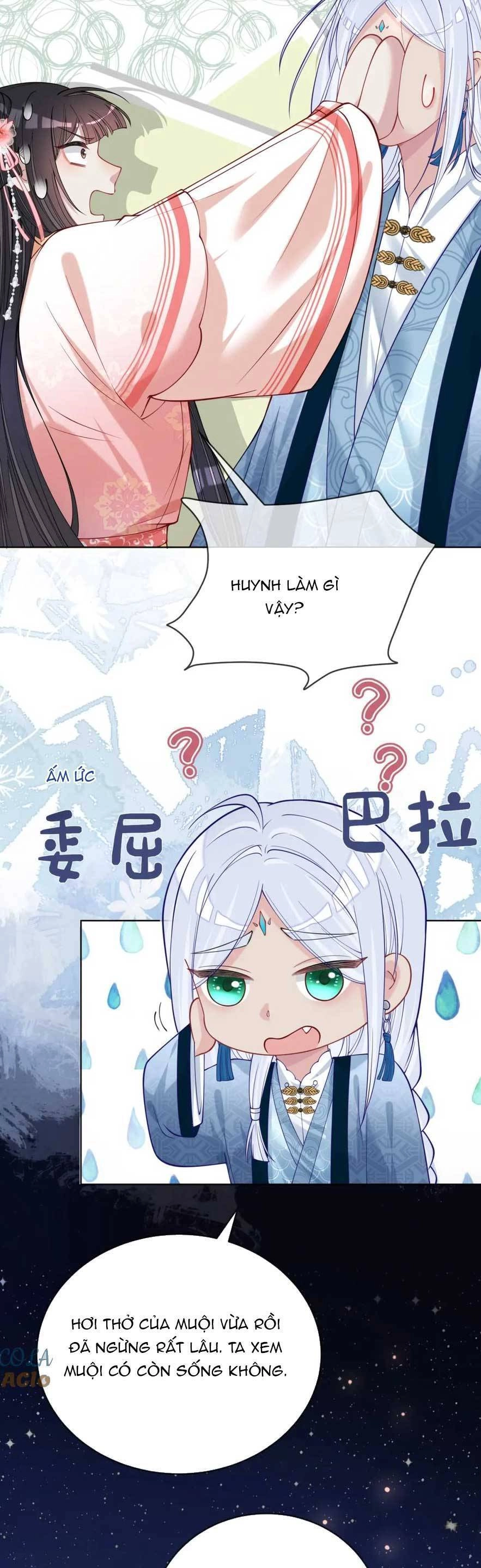 Bệnh Kiều Nam Chủ Lại Ghen Rồi Chapter 141 - 26