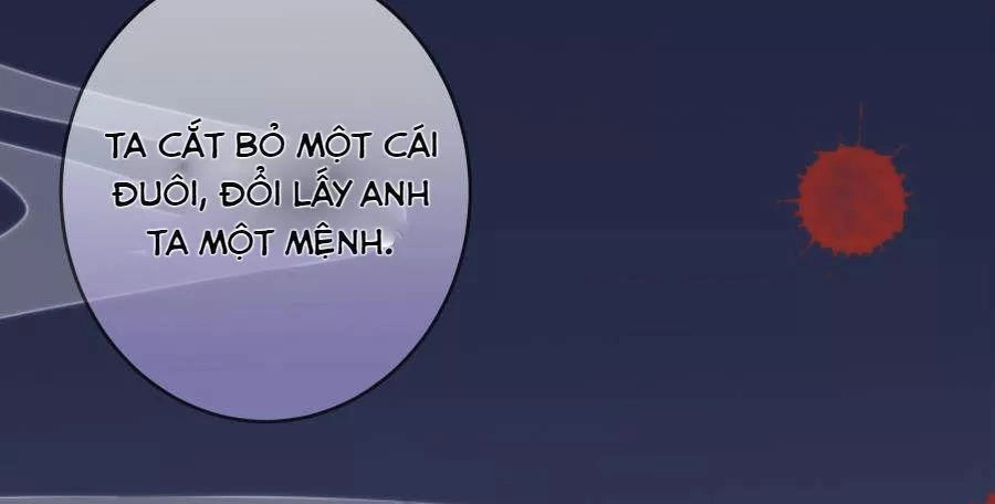 Vương Phi, Vương Gia Nhà Ngươi Không Ngốc Nữa Rồi Chapter 5 - 19