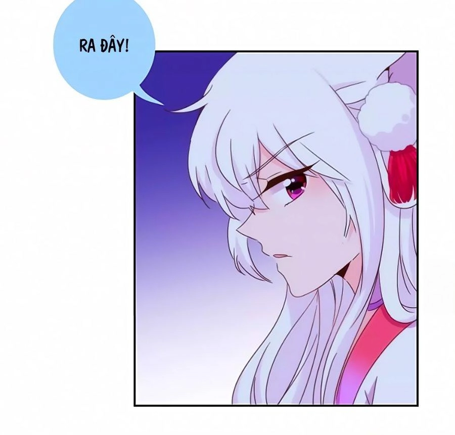 Vương Phi, Vương Gia Nhà Ngươi Không Ngốc Nữa Rồi Chapter 11 - 20