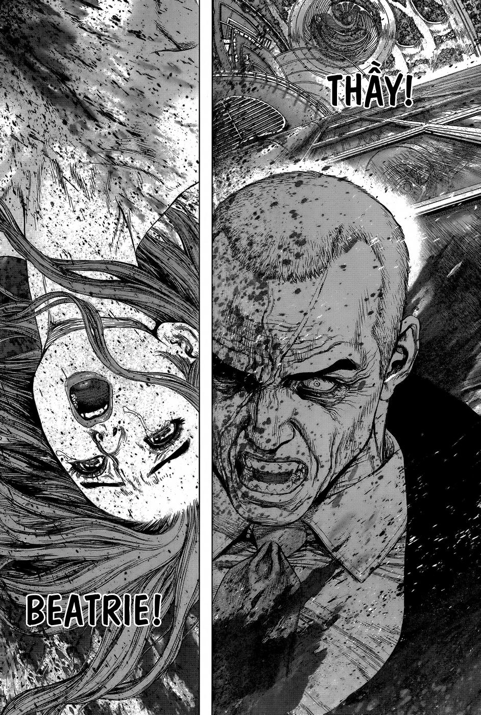 Wallman Chapter 17 - 20