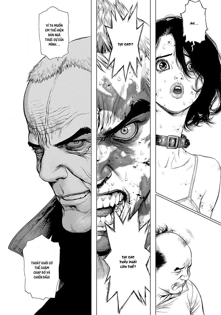 Wallman Chapter 22 - 27