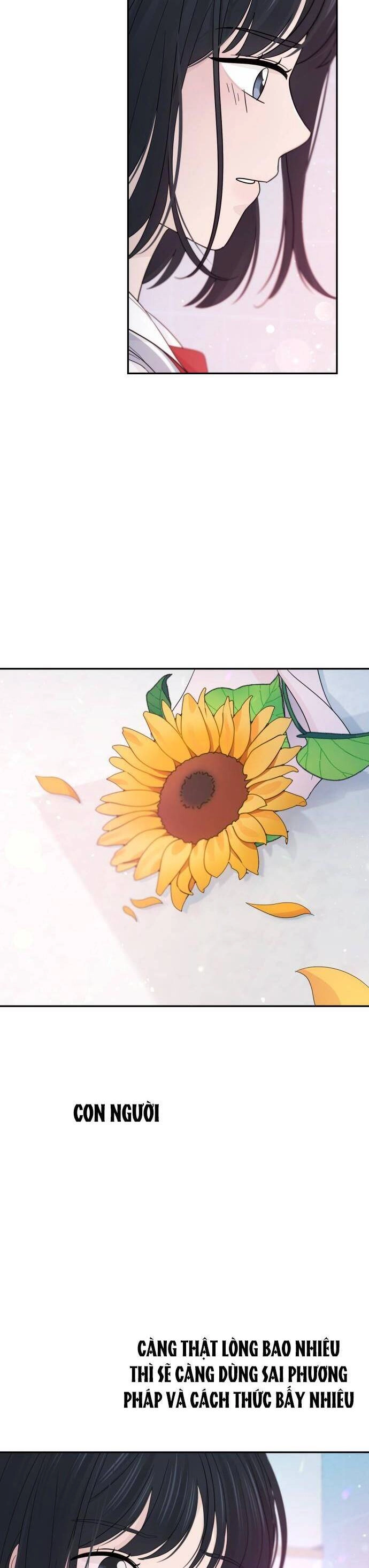 Lời Tỏ Tình Đi Lạc Chapter 37 - 37