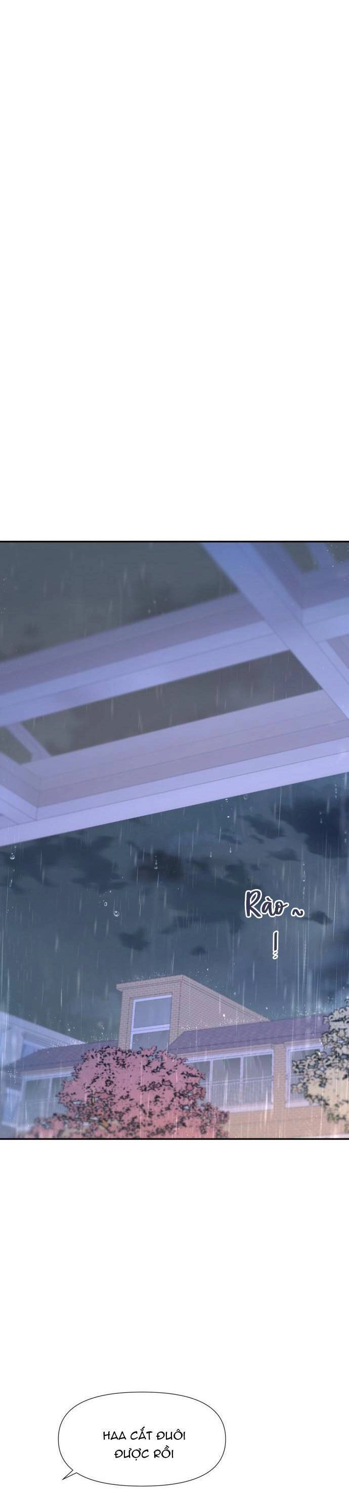 Lời Tỏ Tình Đi Lạc Chapter 56 - 24