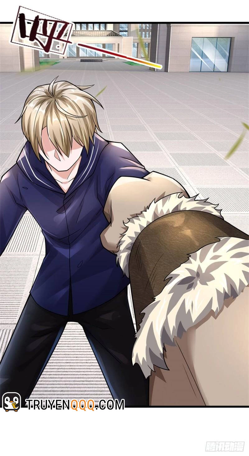 Thuộc Tính Của Ta Đều Thêm Sức Mạnh Chapter 66 - 28