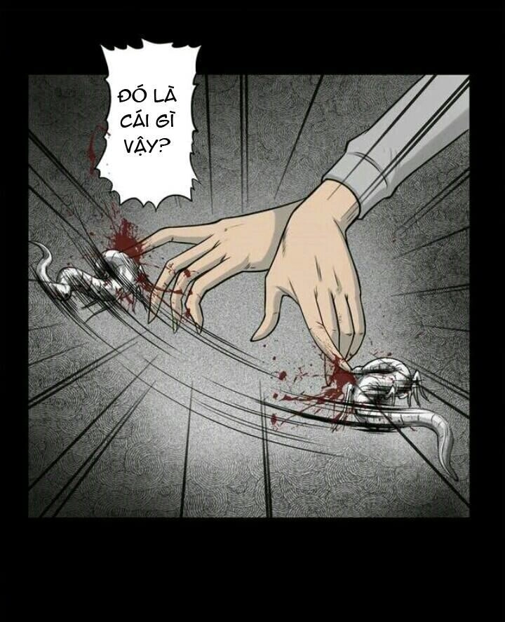 Những Câu Chuyện Kinh Dị Ở Trung Học Tây Lăng Chapter 2 - 15