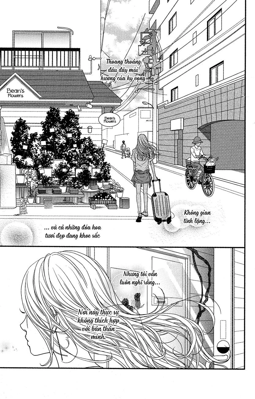 Đóa Hoa Năm Ấy Chapter 1 - 5