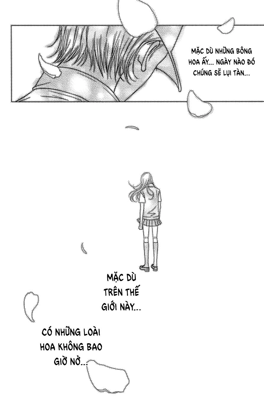 Đóa Hoa Năm Ấy Chapter 3 - 45