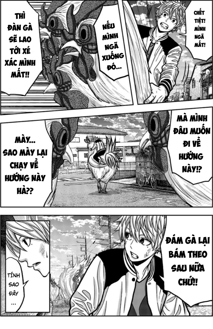 Tiếng Gáy Sát Thủ Chapter 15 - 7