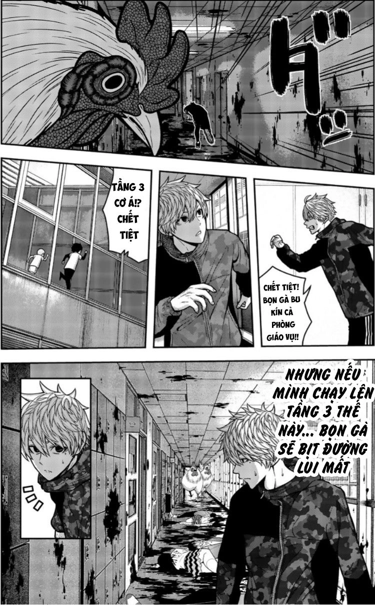 Tiếng Gáy Sát Thủ Chapter 19 - 6