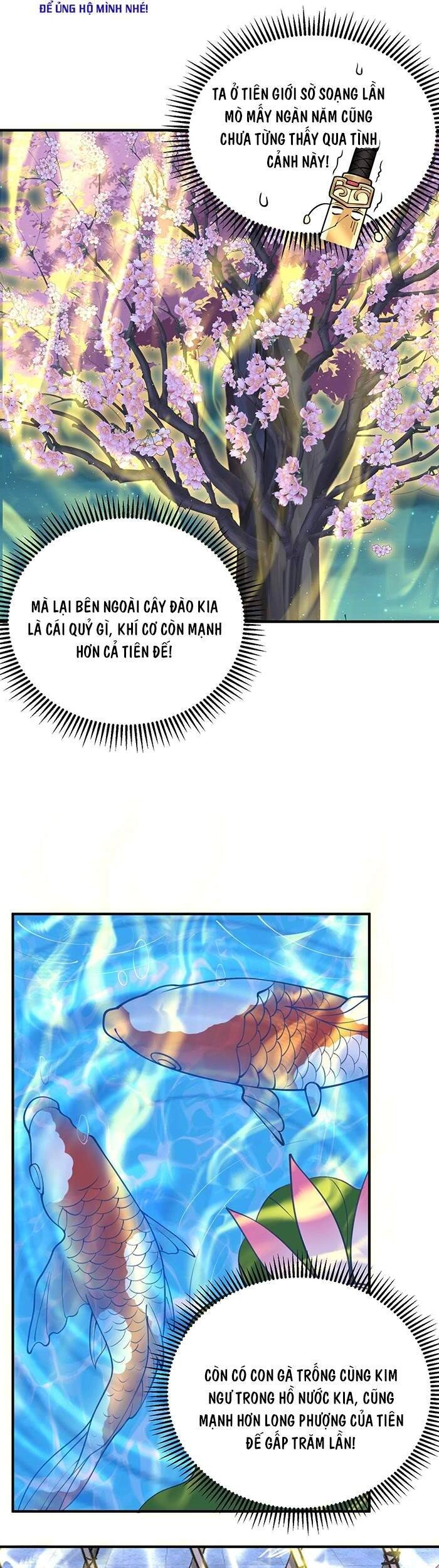 Ta Vô Địch Lúc Nào Chapter 10 - 20