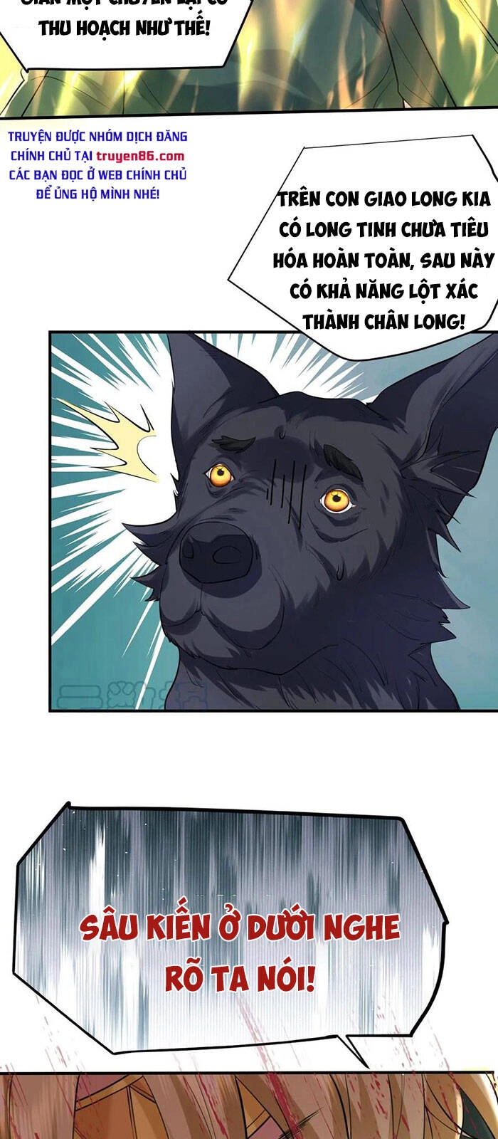 Ta Vô Địch Lúc Nào Chapter 47 - 24