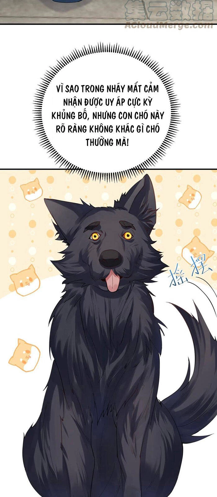 Ta Vô Địch Lúc Nào Chapter 52 - 9