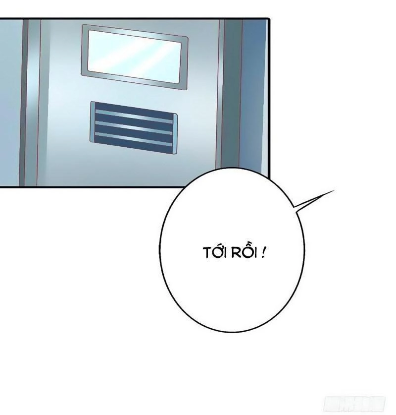 Vẻ Đẹp Giải Trí Của Tiểu Đế Ác Ma Chapter 2 - 5