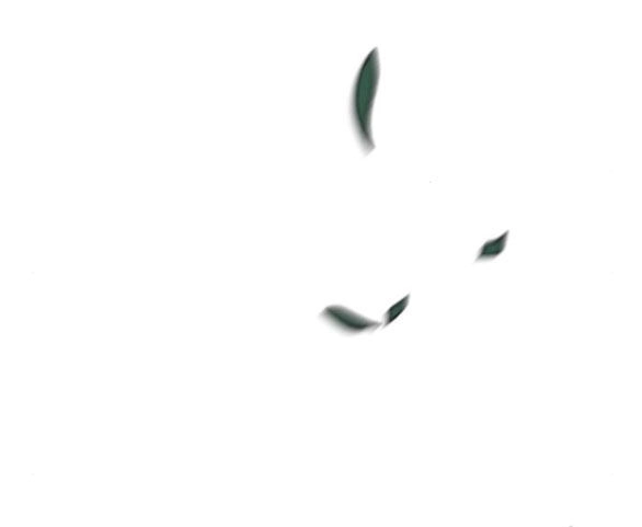 Tân Hôn Mệt Mỏi Của Trưởng Phòng Chapter 40.1 - 54