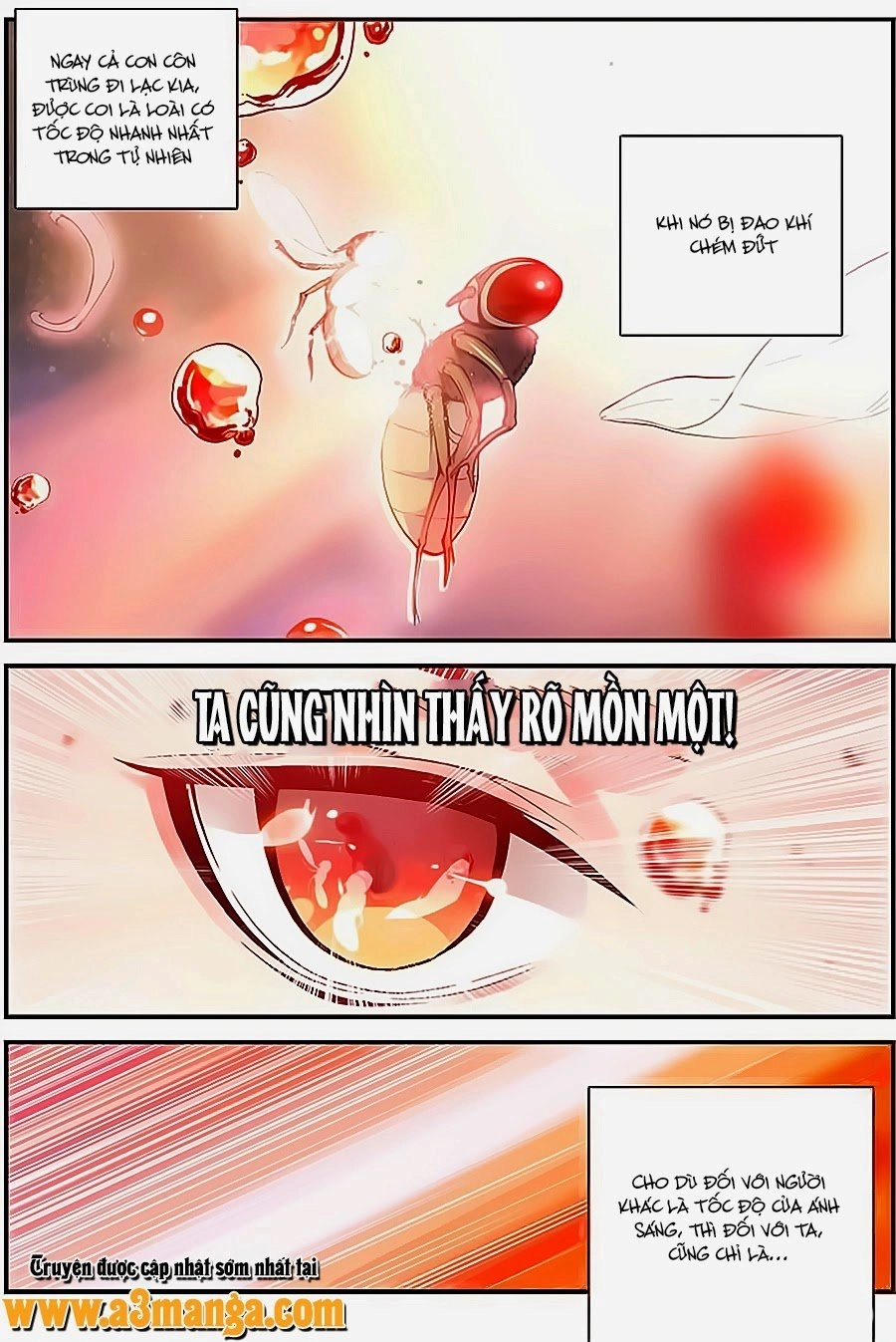 Thánh Vương Chapter 5 - 11