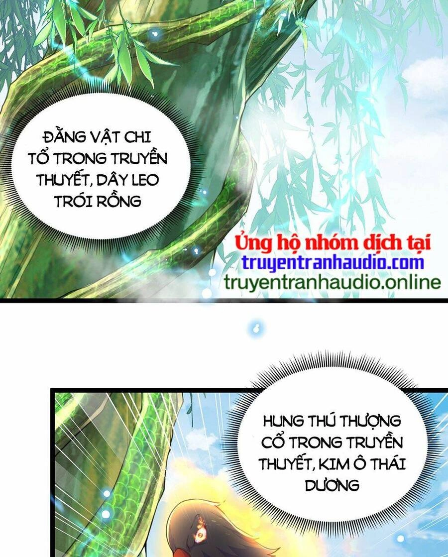 Cường Giả Tuyệt Thế Chỉ Muốn Làm Ruộng Chapter 3 - 15