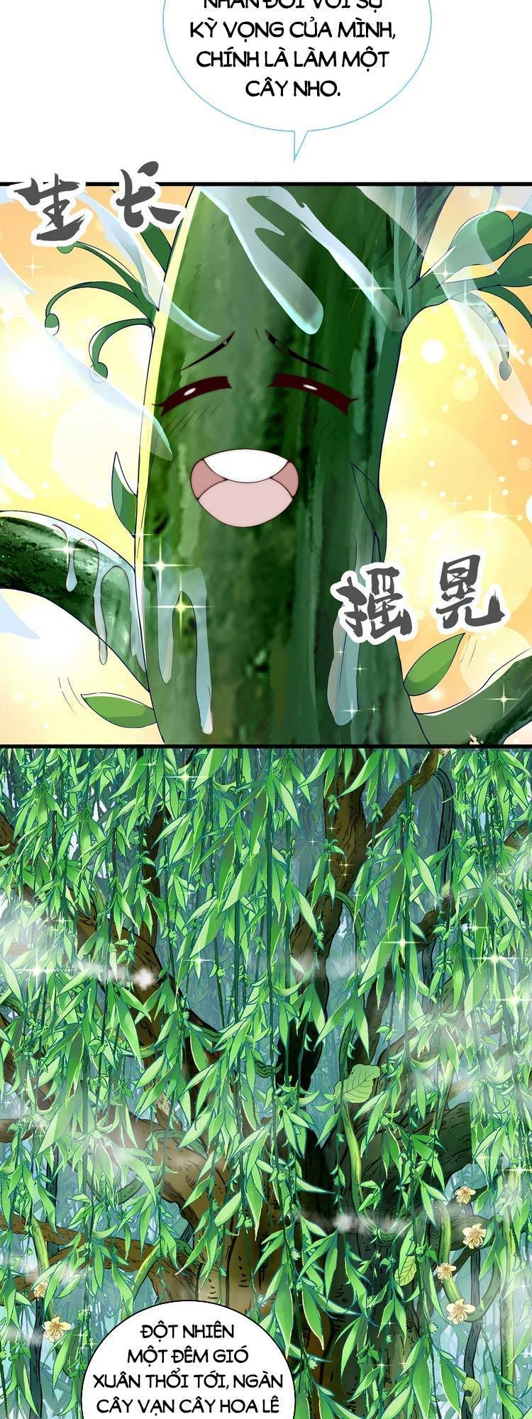 Cường Giả Tuyệt Thế Chỉ Muốn Làm Ruộng Chapter 24 - 27