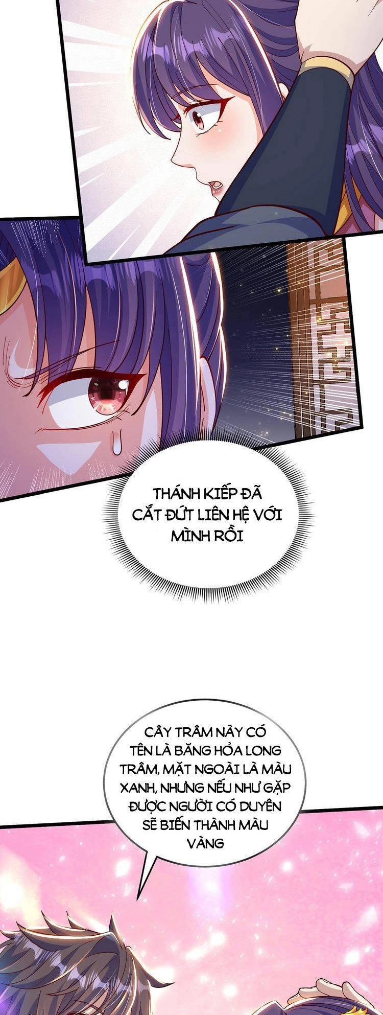 Cường Giả Tuyệt Thế Chỉ Muốn Làm Ruộng Chapter 48 - 13