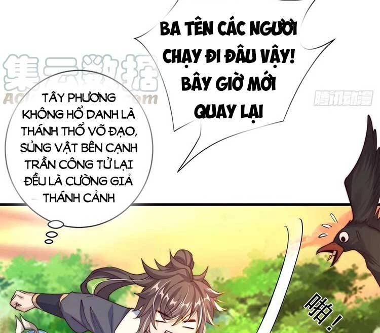 Cường Giả Tuyệt Thế Chỉ Muốn Làm Ruộng Chapter 52 - 17