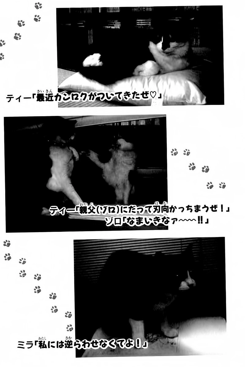 Kotaro Makaritoru! L Chapter 39 - 15