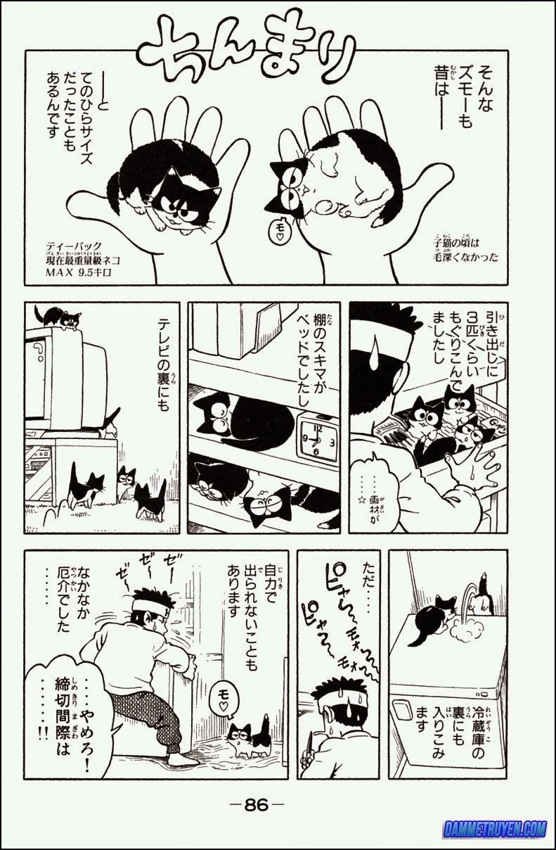 Kotaro Makaritoru! L Chapter 52 - 10