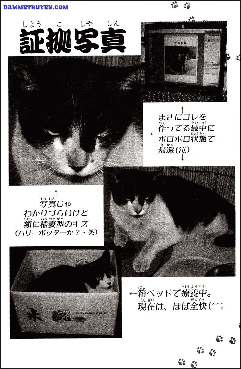 Kotaro Makaritoru! L Chapter 65 - 14