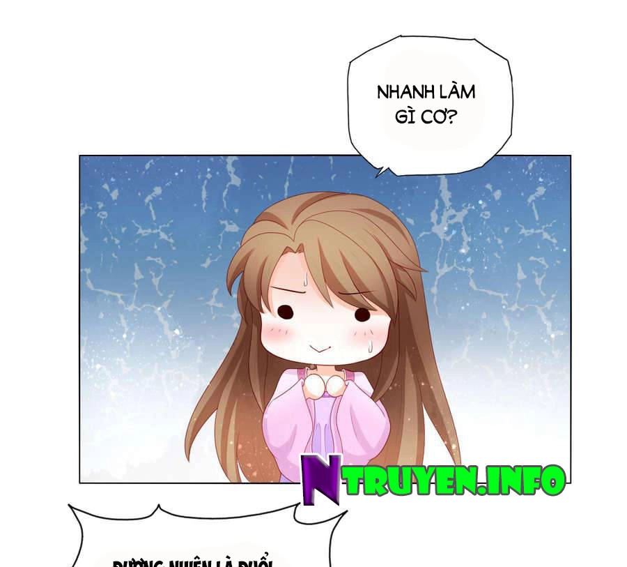 Nam Phi Nữ Tướng Chapter 19 - 5