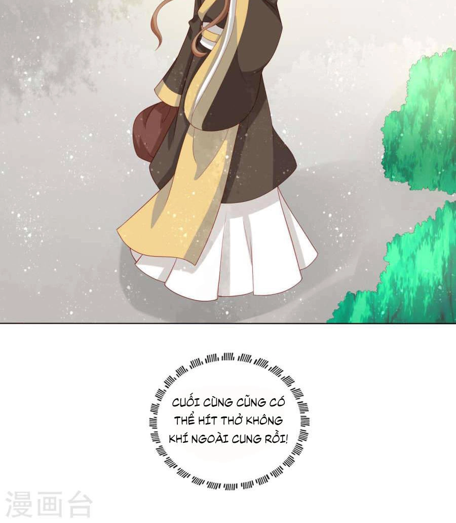 Nam Phi Nữ Tướng Chapter 19 - 35