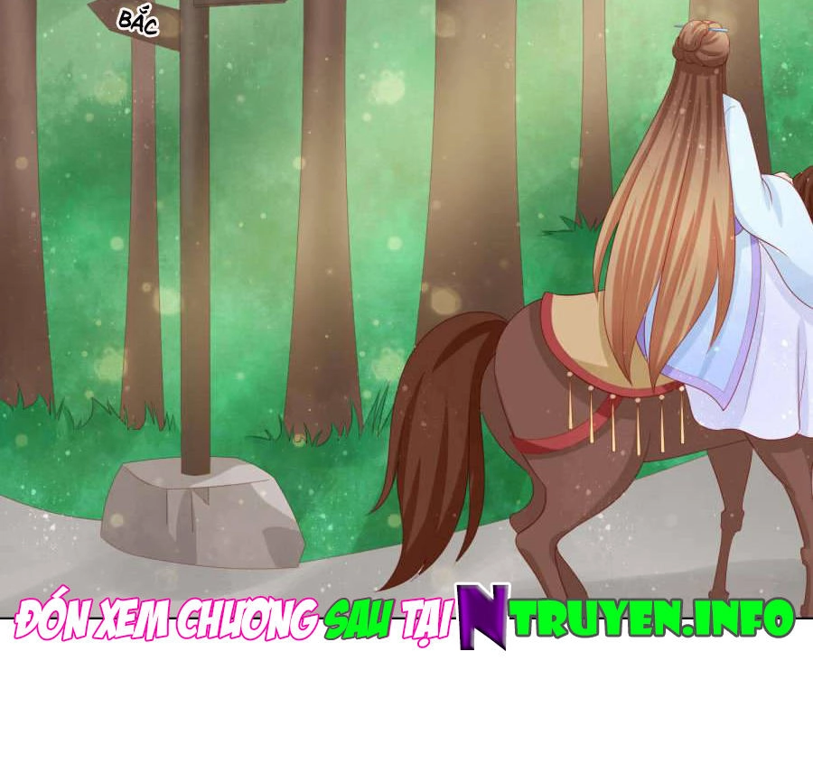 Nam Phi Nữ Tướng Chapter 19 - 42