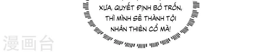Nam Phi Nữ Tướng Chapter 41 - 4