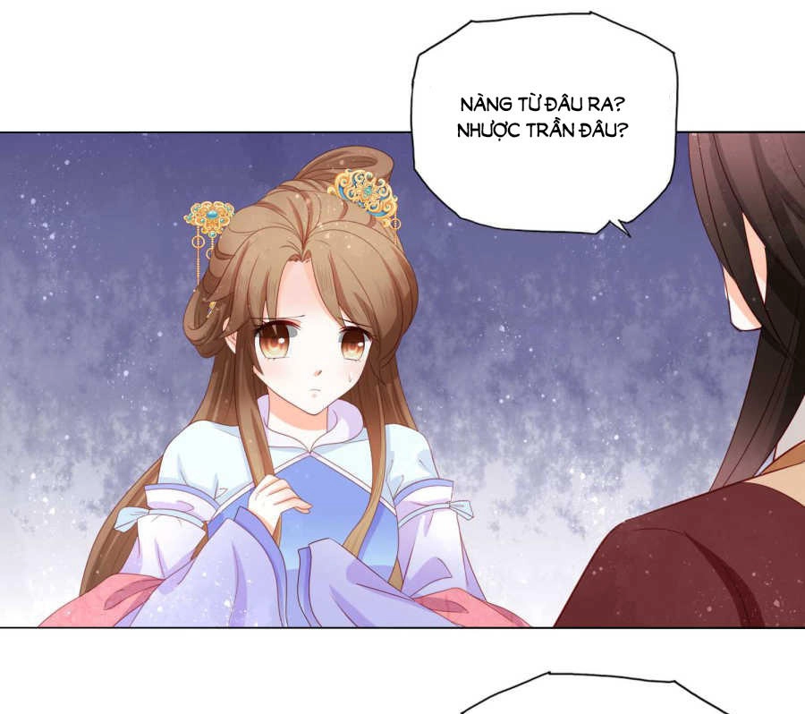 Nam Phi Nữ Tướng Chapter 51 - 12