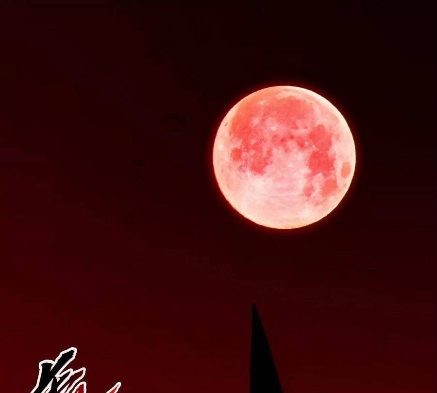 Bản Kiếm Tiên Tuyệt Không Làm Nô Chapter 63 - 25