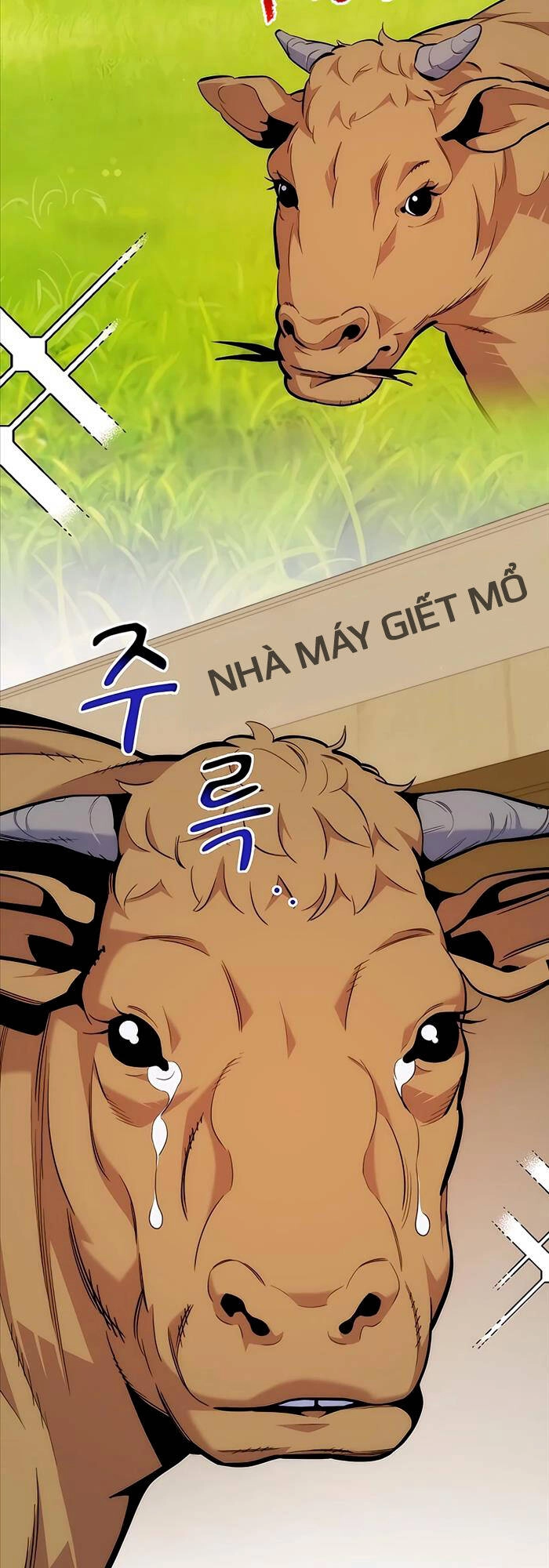 Đi Săn Tự Động Bằng Phân Thân Chapter 49 - 5