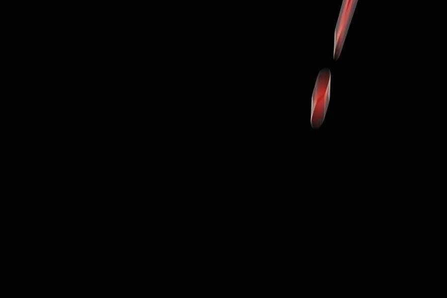 Đi Săn Tự Động Bằng Phân Thân Chapter 59 - 305