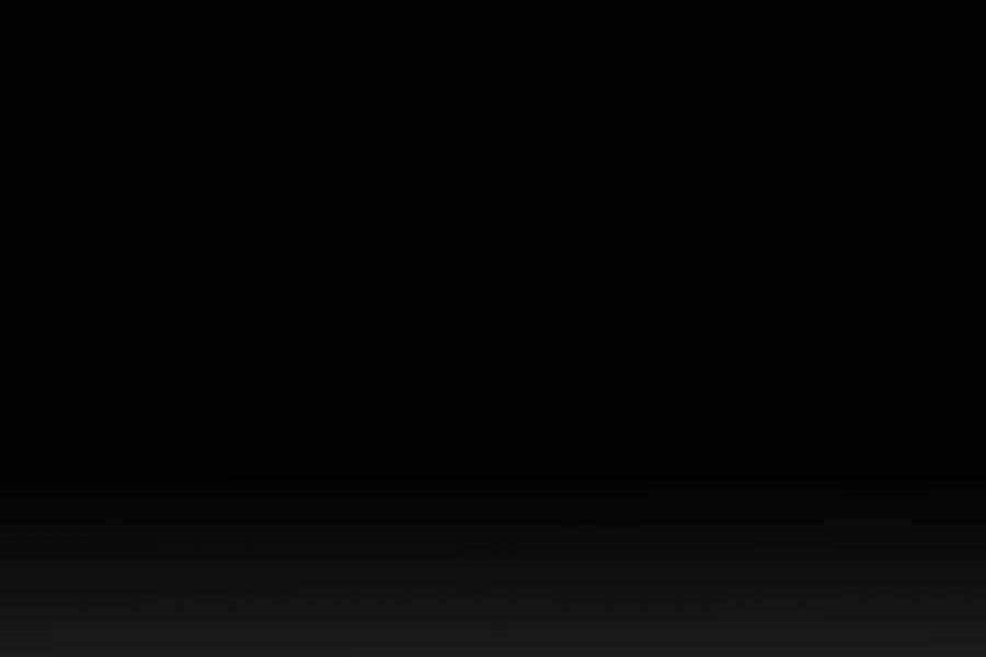 Đi Săn Tự Động Bằng Phân Thân Chapter 59 - 306