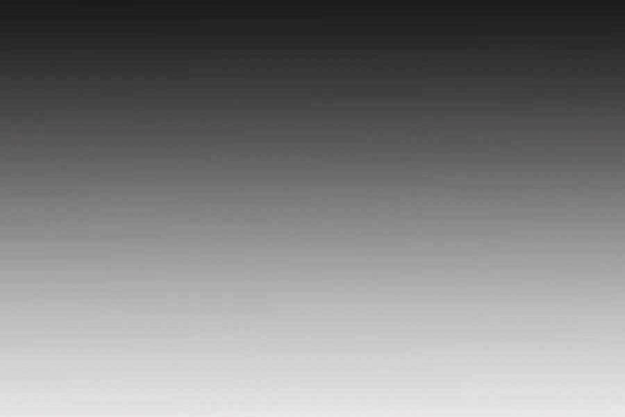 Đi Săn Tự Động Bằng Phân Thân Chapter 59 - 307