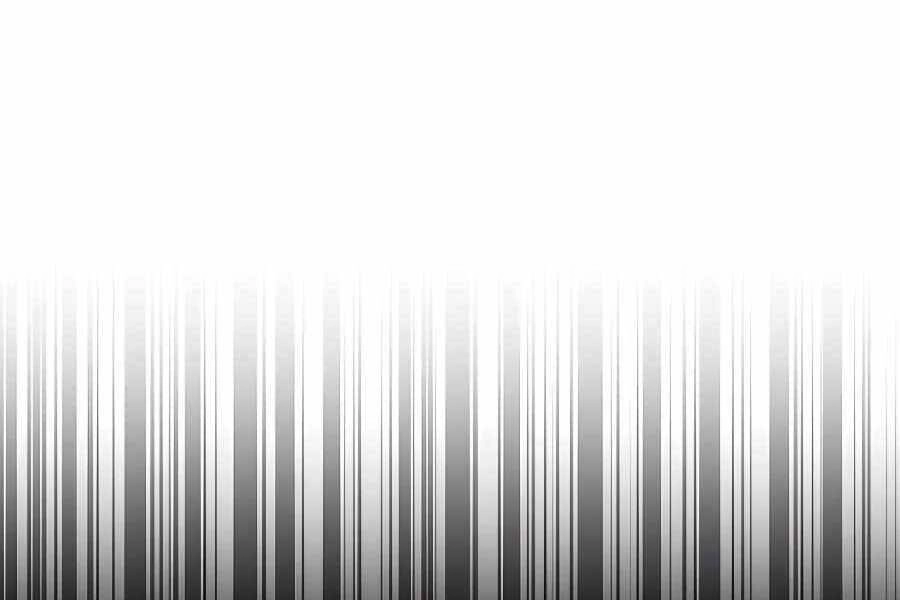 Đi Săn Tự Động Bằng Phân Thân Chapter 6 - 77