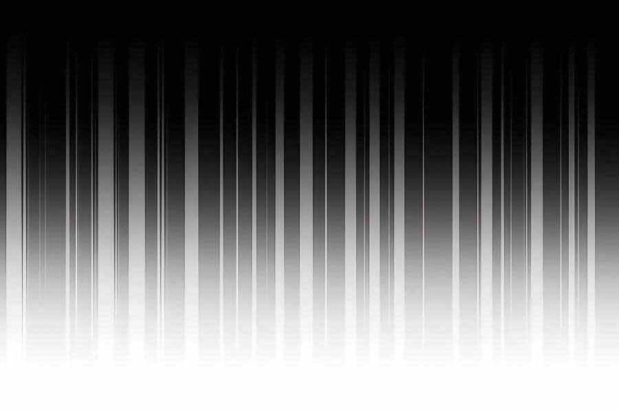 Đi Săn Tự Động Bằng Phân Thân Chapter 6 - 171