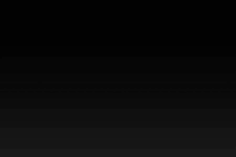 Đi Săn Tự Động Bằng Phân Thân Chapter 7 - 174