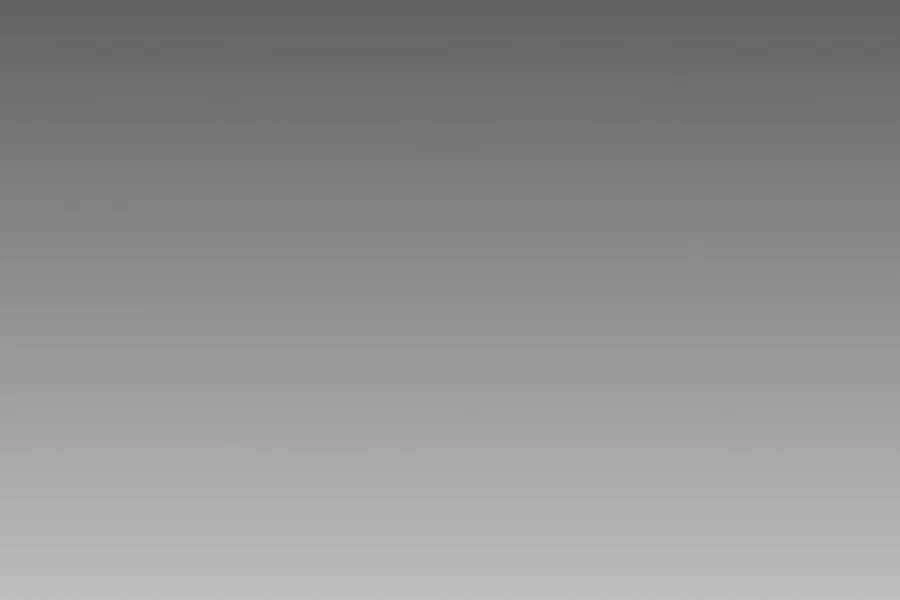 Đi Săn Tự Động Bằng Phân Thân Chapter 7 - 176