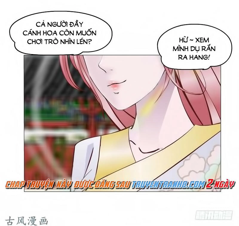 Beauty And Demon Chapter 135 - 44