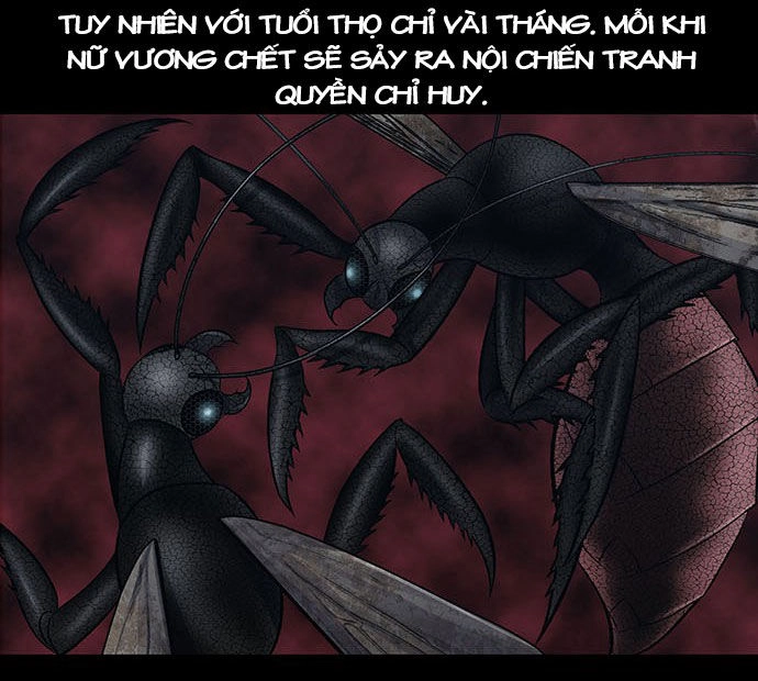 Dog Man (Chó Săn) Chapter 2 - 48