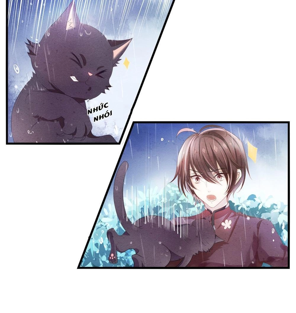 Làm Mèo Của Ta Chapter 1 - 13