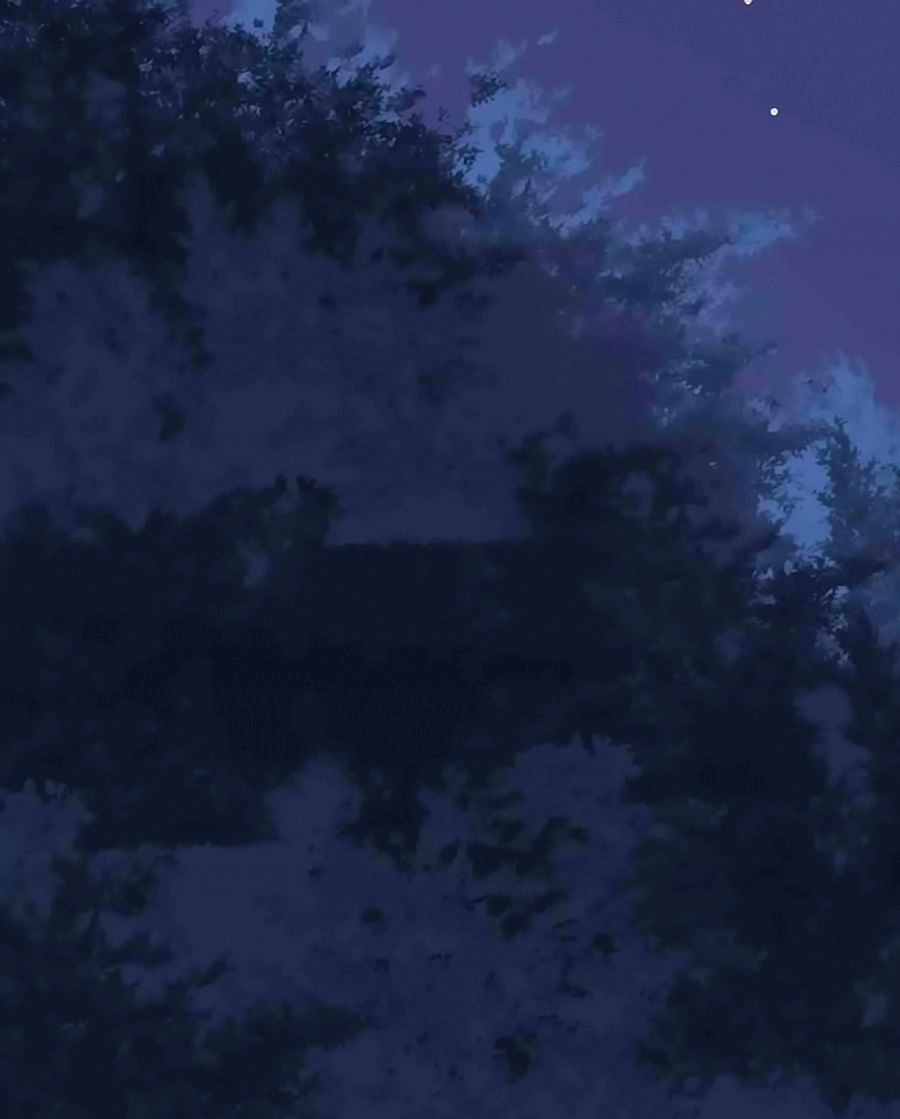 Thịnh Thế Đế Vương Phi Chapter 12 - 11