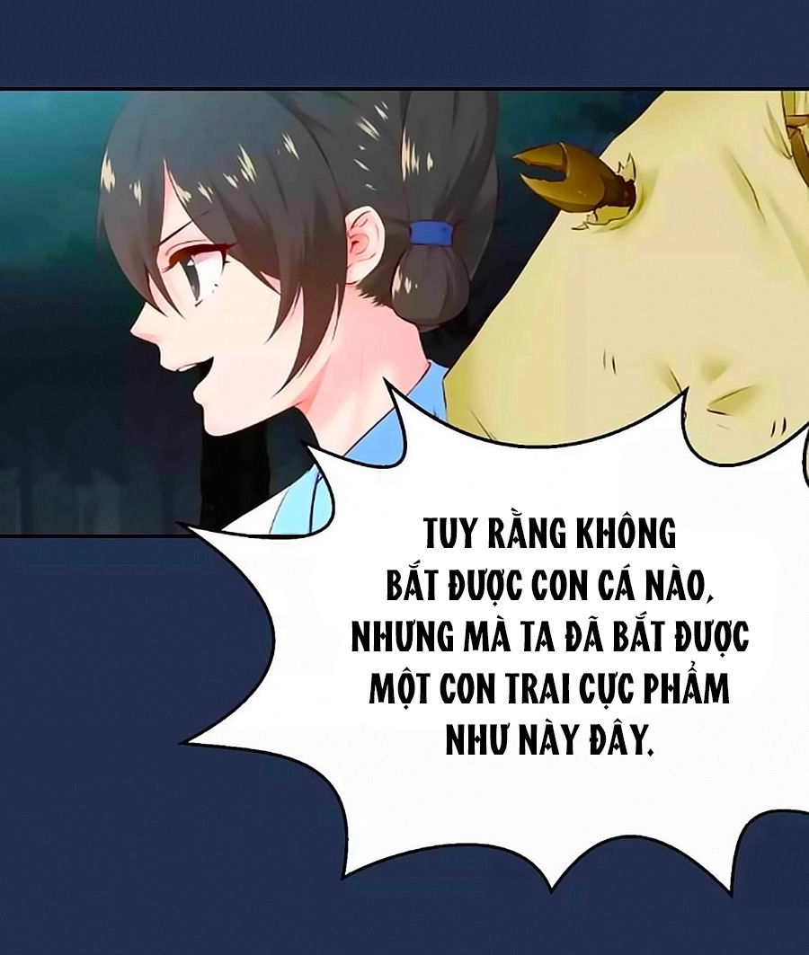 Thịnh Thế Đế Vương Phi Chapter 41 - 13