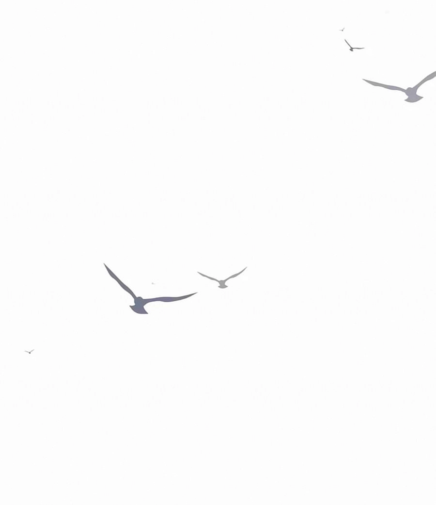 Thịnh Thế Đế Vương Phi Chapter 45 - 2